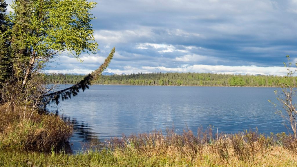 City Guide for Kenai Alaska, 10447 Kenai Spur Highway Kenai Alaska City Guide, EB-3 Visa green card jobs