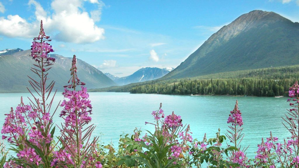 City Guide for Kenai Alaska, 10447 Kenai Spur Highway Kenai Alaska City Guide, EB-3 Visa green card jobs