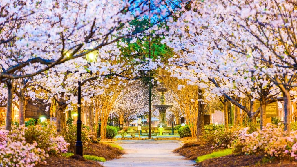 City Guide for Macon Georgia, Macon Georgia City Guide, EB-3 Visa green card jobs