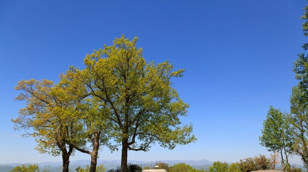 City Guide for Hendersonville North Carolina, Hendersonville North Carolina City Guide, EB-3 Visa green card jobs