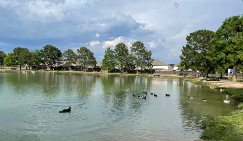 City Guide for Katy Texas, Katy Texas City Guide, EB-3 Visa green card jobs