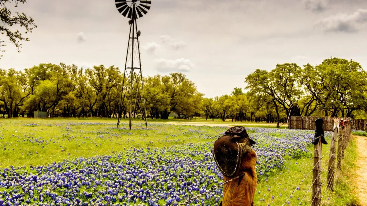 City Guide for Spring Texas, Spring Texas City Guide, EB-3 Visa green card jobs